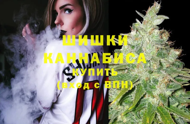 Шишки марихуана Ganja  Лесной 